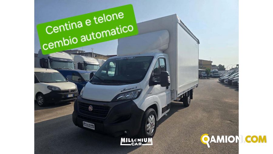 Fiat DUCATO MAXI C.A. DUCATO MAXI C.A. | Millenium Car