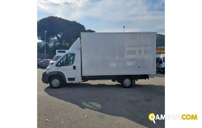 Fiat DUCATO ducato | MUGAVERO ANTONIO & FIGLI SRL