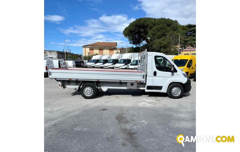 Fiat DUCATO ducato maxi | MUGAVERO ANTONIO & FIGLI SRL
