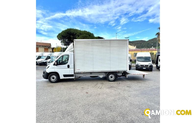 Fiat DUCATO ducato maxi | MUGAVERO ANTONIO & FIGLI SRL