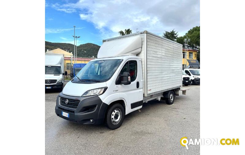 Fiat DUCATO ducato maxi | MUGAVERO ANTONIO & FIGLI SRL