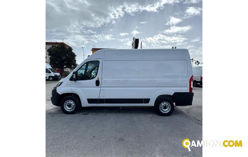 Fiat DUCATO ducato | MUGAVERO ANTONIO & FIGLI SRL