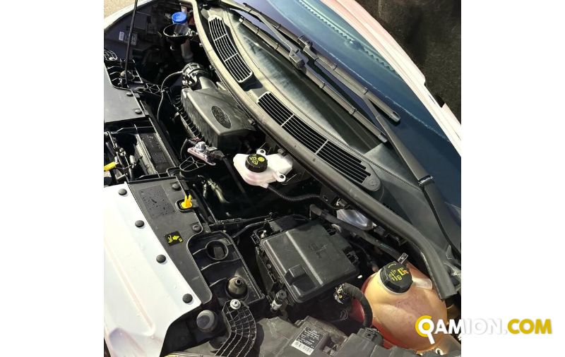 Ford TRANSIT transit | MUGAVERO ANTONIO & FIGLI SRL