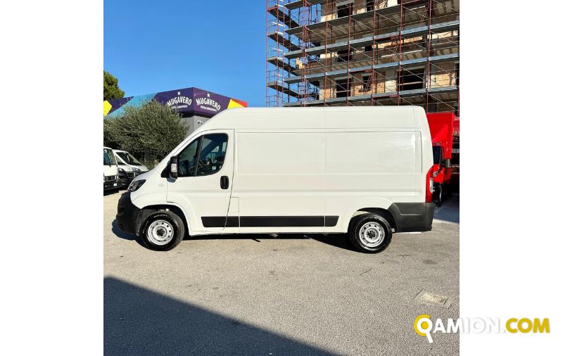 Fiat DUCATO DUCATO | MUGAVERO ANTONIO & FIGLI SRL