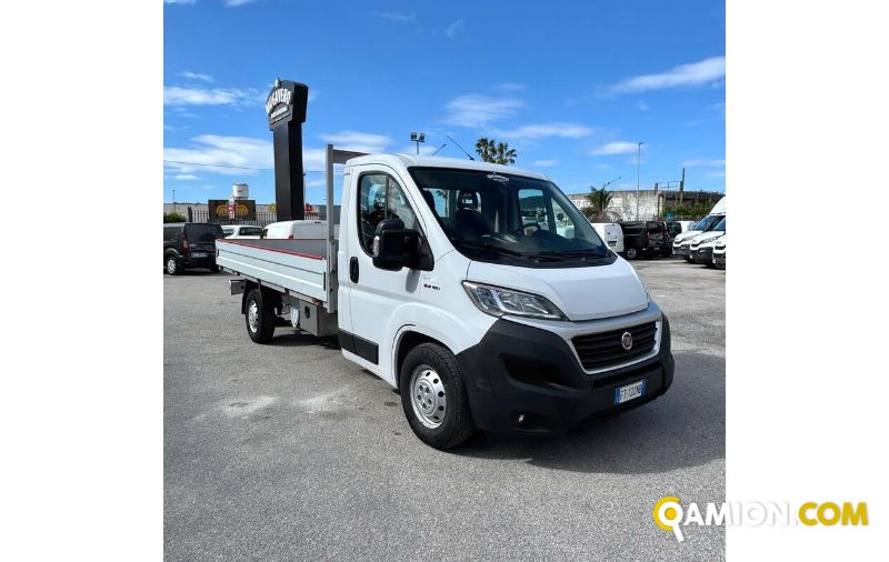 Fiat DUCATO ducato maxi | MUGAVERO ANTONIO & FIGLI SRL