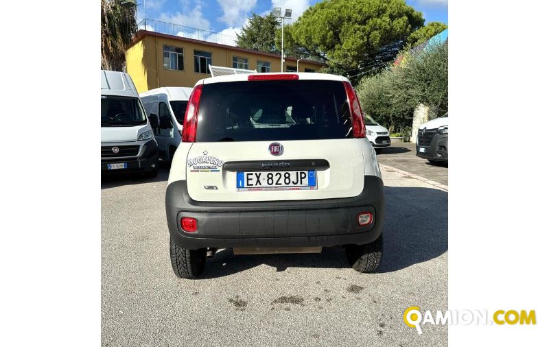 Fiat PANDA PANDA | MUGAVERO ANTONIO & FIGLI SRL