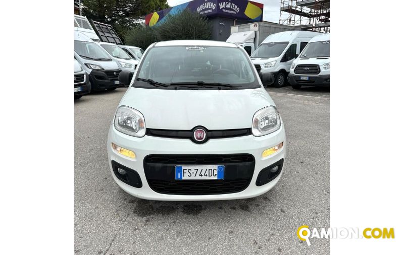 Fiat PANDA PANDA | MUGAVERO ANTONIO & FIGLI SRL
