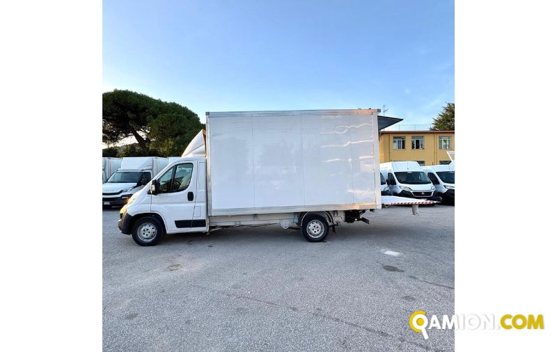 Opel MOVANO MOVANO | MUGAVERO ANTONIO & FIGLI SRL
