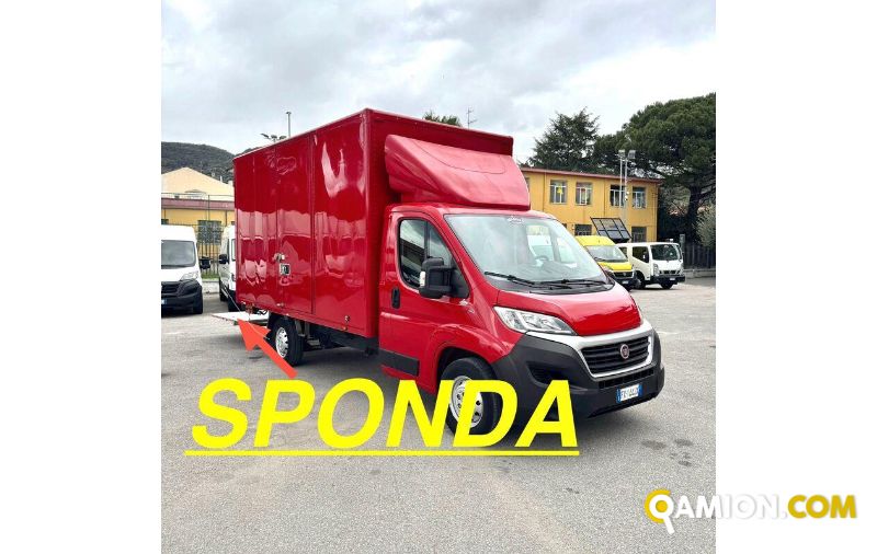 Fiat DUCATO ducato maxi | MUGAVERO ANTONIO & FIGLI SRL