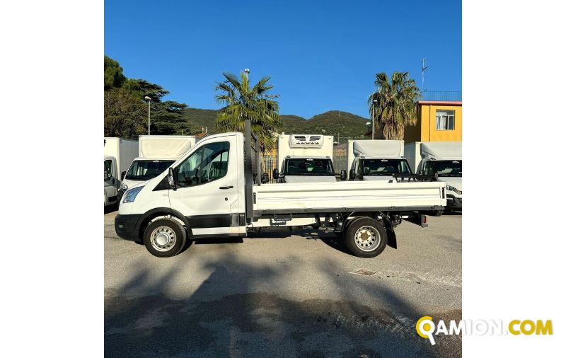 Ford TRANSIT 350 | MUGAVERO ANTONIO & FIGLI SRL