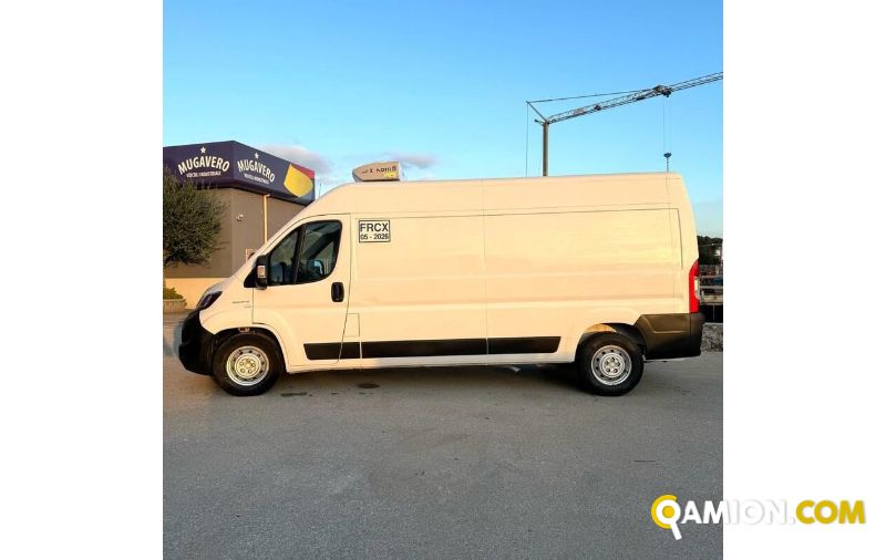 Fiat DUCATO ducato maxi | MUGAVERO ANTONIO & FIGLI SRL