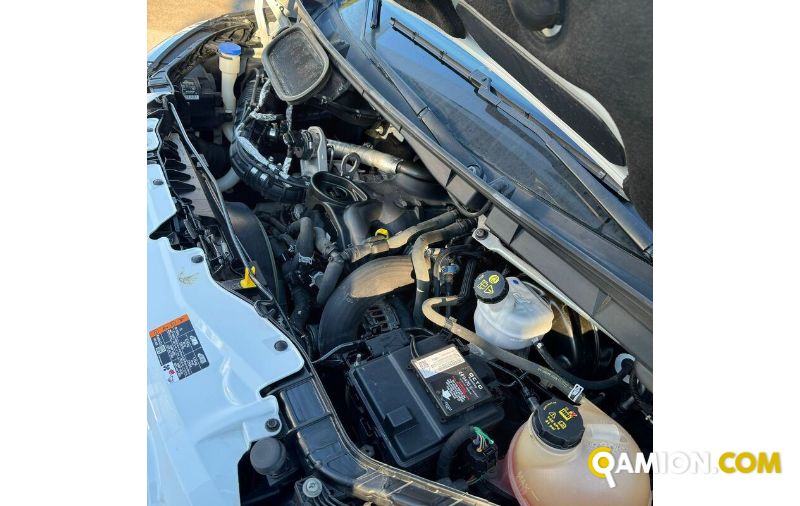 Ford TRANSIT 350 | MUGAVERO ANTONIO & FIGLI SRL