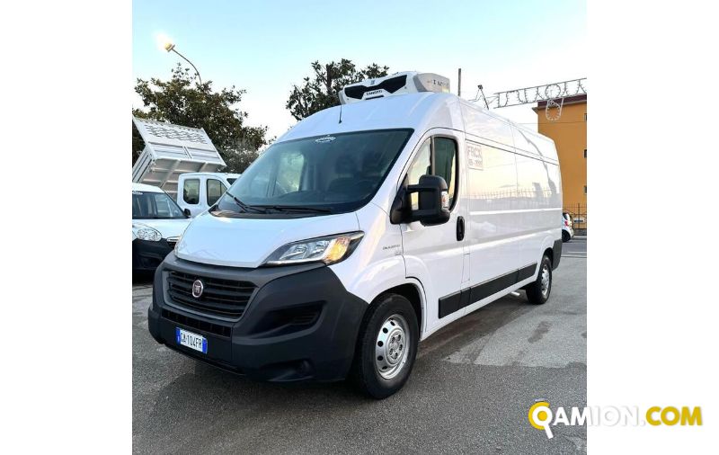 Fiat DUCATO ducato maxi | MUGAVERO ANTONIO & FIGLI SRL