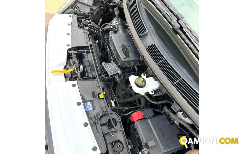 Ford TRANSIT transit | MUGAVERO ANTONIO & FIGLI SRL