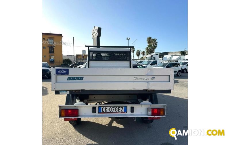 Fiat DUCATO ducato | MUGAVERO ANTONIO & FIGLI SRL