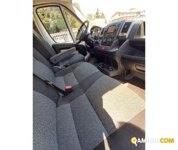 FIAT** DUCATO | Altro Altro | Luigi Bacchi IVECO