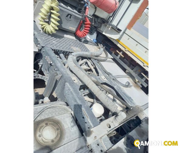 IVECO** AS440S46 T/P | Altro Trattore | Luigi Bacchi IVECO