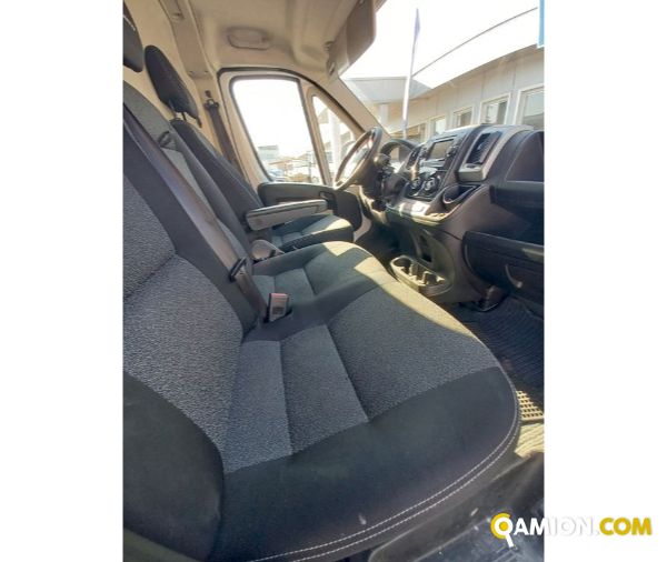 FIAT** DUCATO | Altro Altro | Luigi Bacchi IVECO